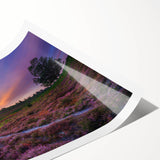 Extra large rolled print featuring line art flowers in muted earth tones, suitable for large living room wall art.