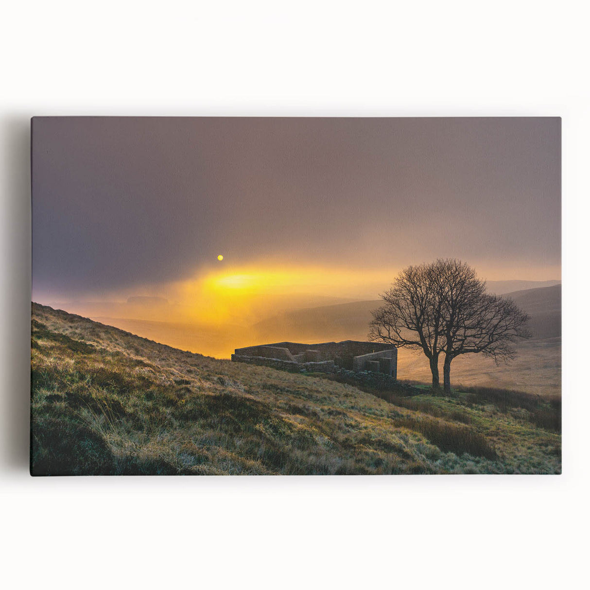 Black and white stretched canvas of Charlotte skyline, ideal for kitchen wall art.