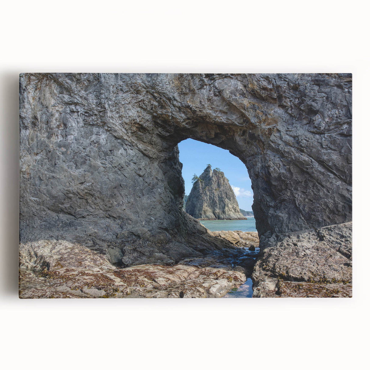 Black and white photograph of Olympic National Park on stretched canvas, suited as large kitchen wall art.