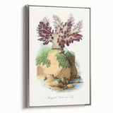 Romanticism Art - Spongode Coral Study - Classic Romantic Print