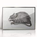 Romanticism Art - Study of a Mouse - Classic Romantic Animal Print