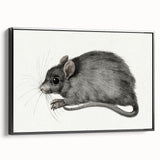 Romanticism Art - Study of a Mouse - Classic Romantic Animal Print