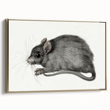 Romanticism Art - Study of a Mouse - Classic Romantic Animal Print