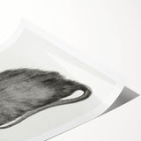 Romanticism Art - Study of a Mouse - Classic Romantic Animal Print