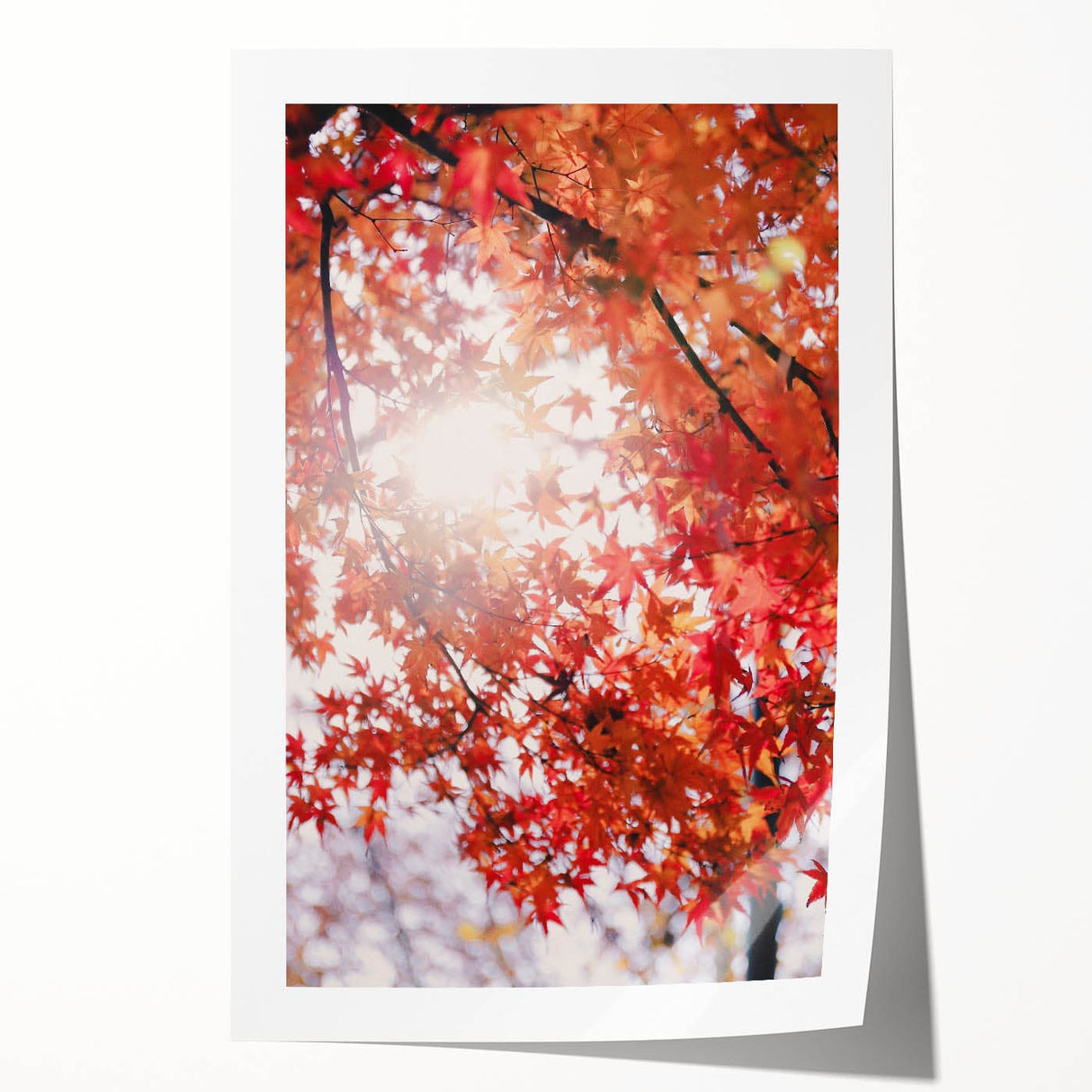 Extra large rolled print featuring a vibrant fall-themed floral art, ideal for art wall dining room decor.
