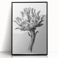 Romanticism Art - Artichoke Study - Classic Botanical Romantic Print
