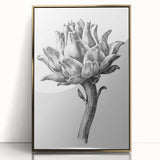 Romanticism Art - Artichoke Study - Classic Botanical Romantic Print