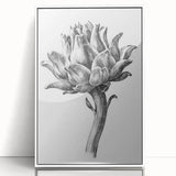 Romanticism Art - Artichoke Study - Classic Botanical Romantic Print