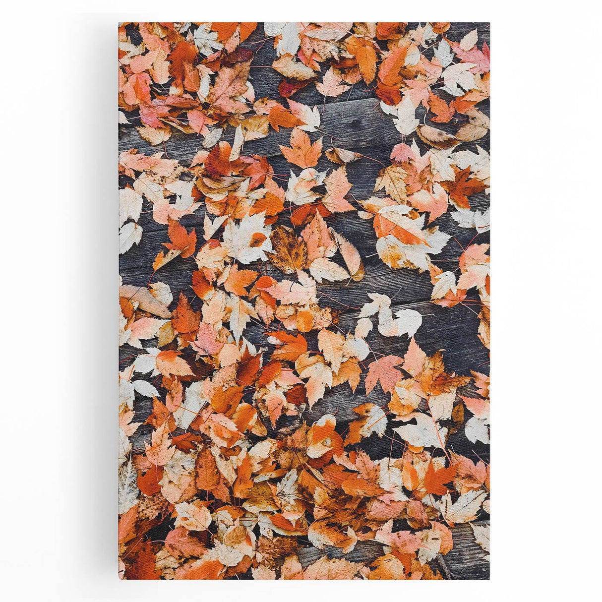 Large black and white stretched canvas featuring an abstract design of fall trees, ideal for kitchen wall art.