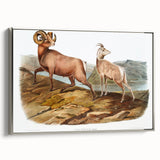 RomanticRomanticism Art - Rocky Mountain Sheep - Classic Animal Printism Art - Marriage A-la-Mode 3 - Classic Romantic Print (Copy)