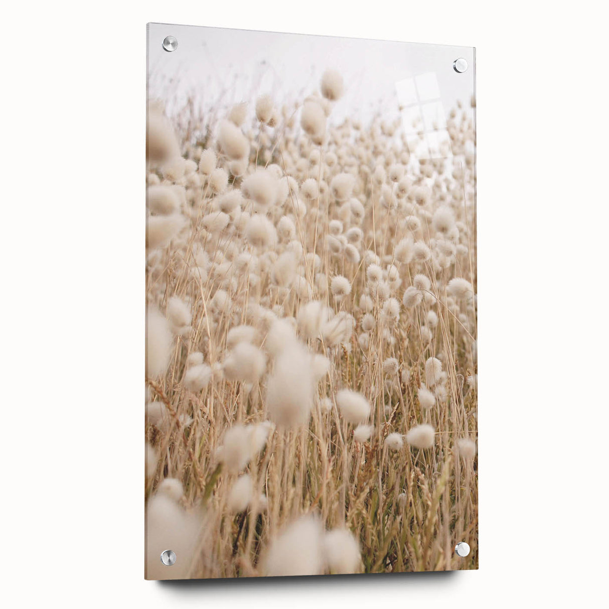 Large abstract wall art on acrylic glass depicting vibrant summer hues, ideal for dining room or bedroom decor.