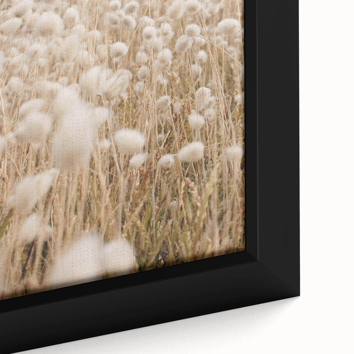 Extra large framed canvas featuring a textured black background with a colorful, abstract design.