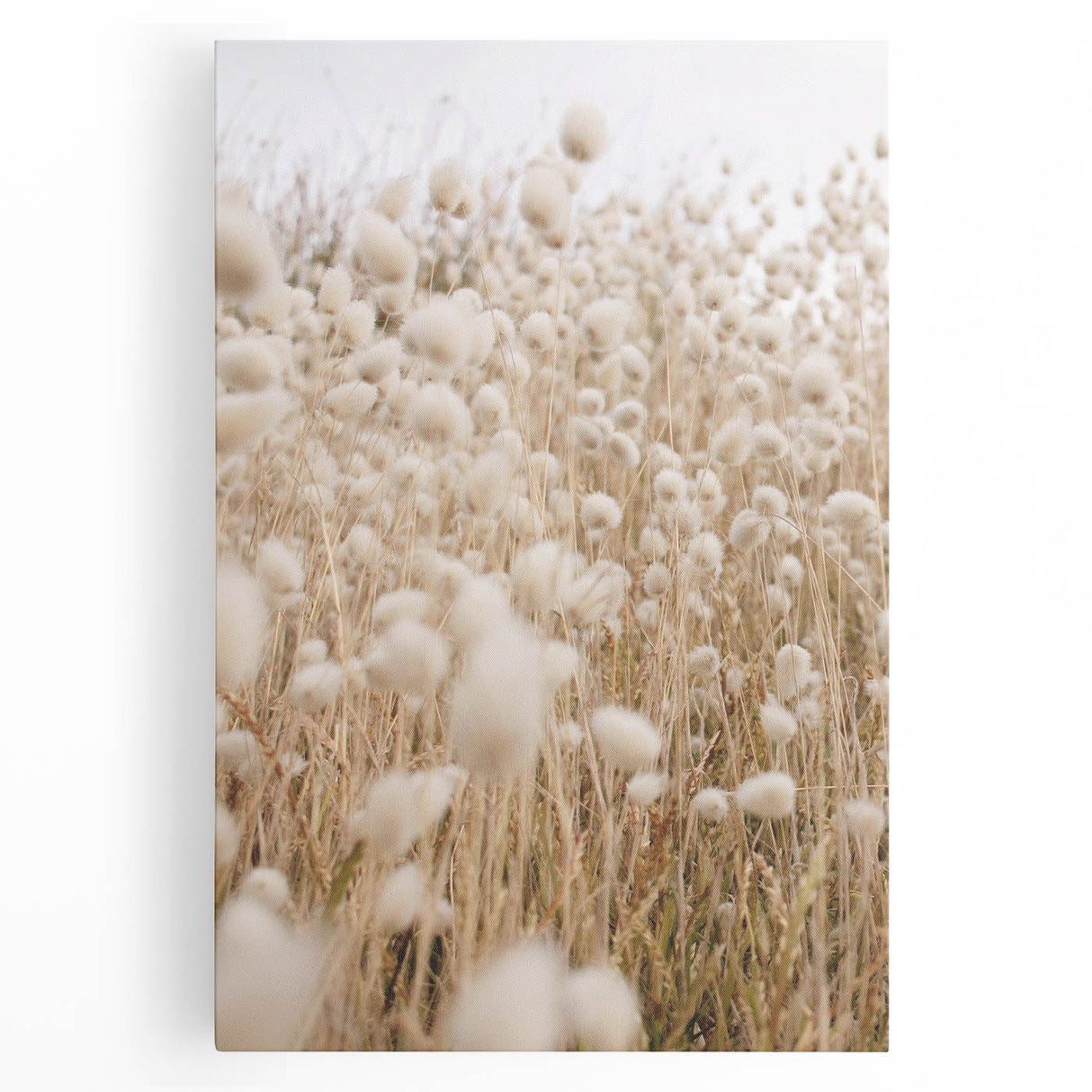 Black and white stretched canvas featuring a minimalist summer tree design, ideal for kitchen wall art.