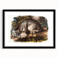 Romanticism Art: "Canada Lynx" by John Woodhouse Audubon