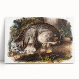 Romanticism Art: "Canada Lynx" by John Woodhouse Audubon