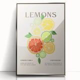 Mid-century modernist art featuring an array of colorful fruits on a silver-framed acrylic.