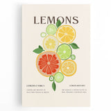 Black and white large art on stretched canvas depicting assorted fruits, ideal for kitchen wall art.