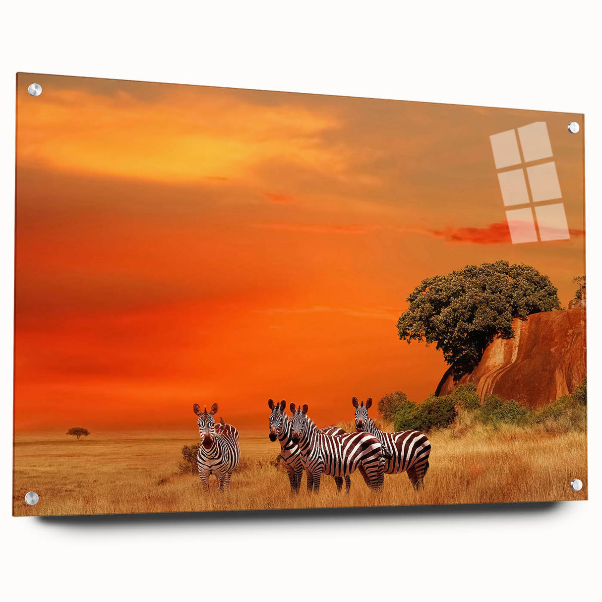 Large abstract wall art depicting Tanzania scenery on acrylic glass, with earthy tones.
