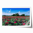 Rolled print of a Bangladesh scenery with lush green landscapes and floral elements, suitable for art wall dining room.