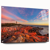 Large abstract wall art depicting a Tasmanian landscape in muted earth tones on acrylic glass.