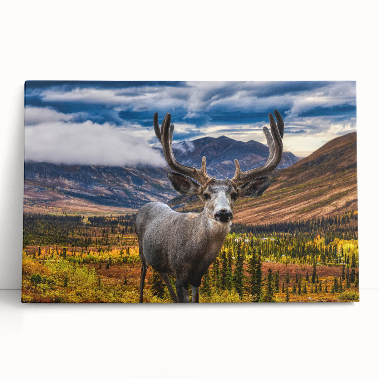 Black and white photograph of Yukon scenery on large stretched canvas, ideal for kitchen wall art or bedroom.