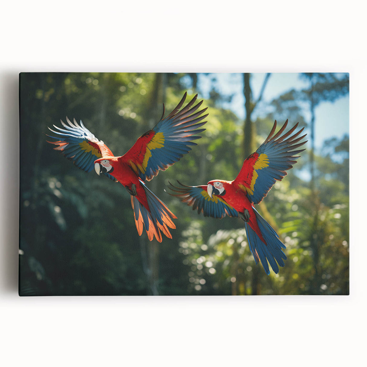Black and white photograph of a Costa Rican landscape on stretched canvas, ideal for kitchen wall art.