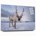 Large abstract wall art depicting a Finnish landscape in muted blues and greens on acrylic glass.