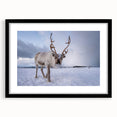 Extra large abstract art print of a colorful, textured Finnish landscape on a black framed canvas.