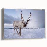 Landscape art painting of a serene Finnish scenery in vibrant colors on a framed canvas, suitable for living room decor.