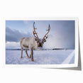 Extra large rolled print of a scenic Finnish landscape with vivid green and blue tones, ideal for dining room wall art.