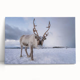 Black and white photograph of a serene Finnish landscape on large stretched canvas, suitable as kitchen wall art.