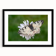 Extra large framed abstract art print depicting a colorful, textured scenery of Greece, ideal for living room decor.