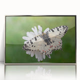 Large art print of a European Greek landscape in muted earth tones, framed in silver acrylic.
