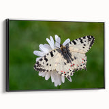 Black and white framed canvas of a vintage European landscape, ideal for bedroom decor.