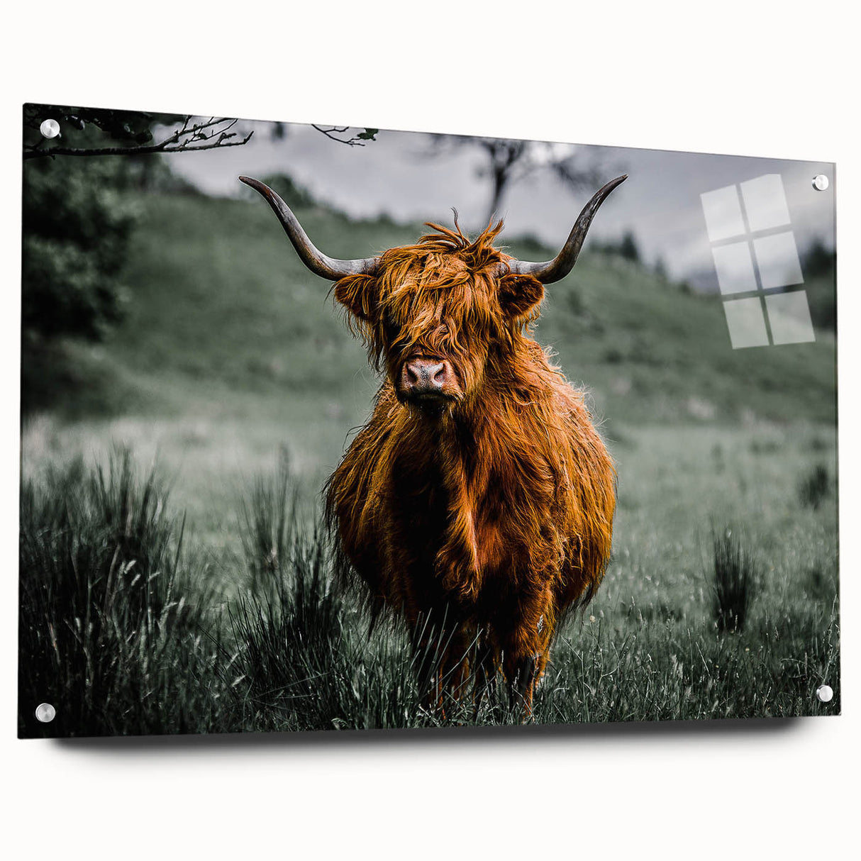 Acrylic print of a Scottish landscape in muted greens and blues, ideal for dining room decor.
