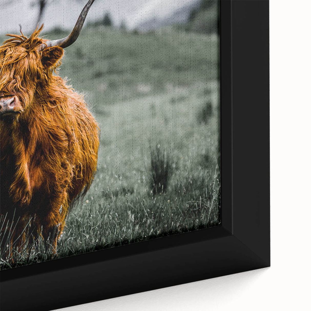 Black wall art featuring a textured close-up of a Scottish landscape on extra large framed canvas, with colorful art accents.