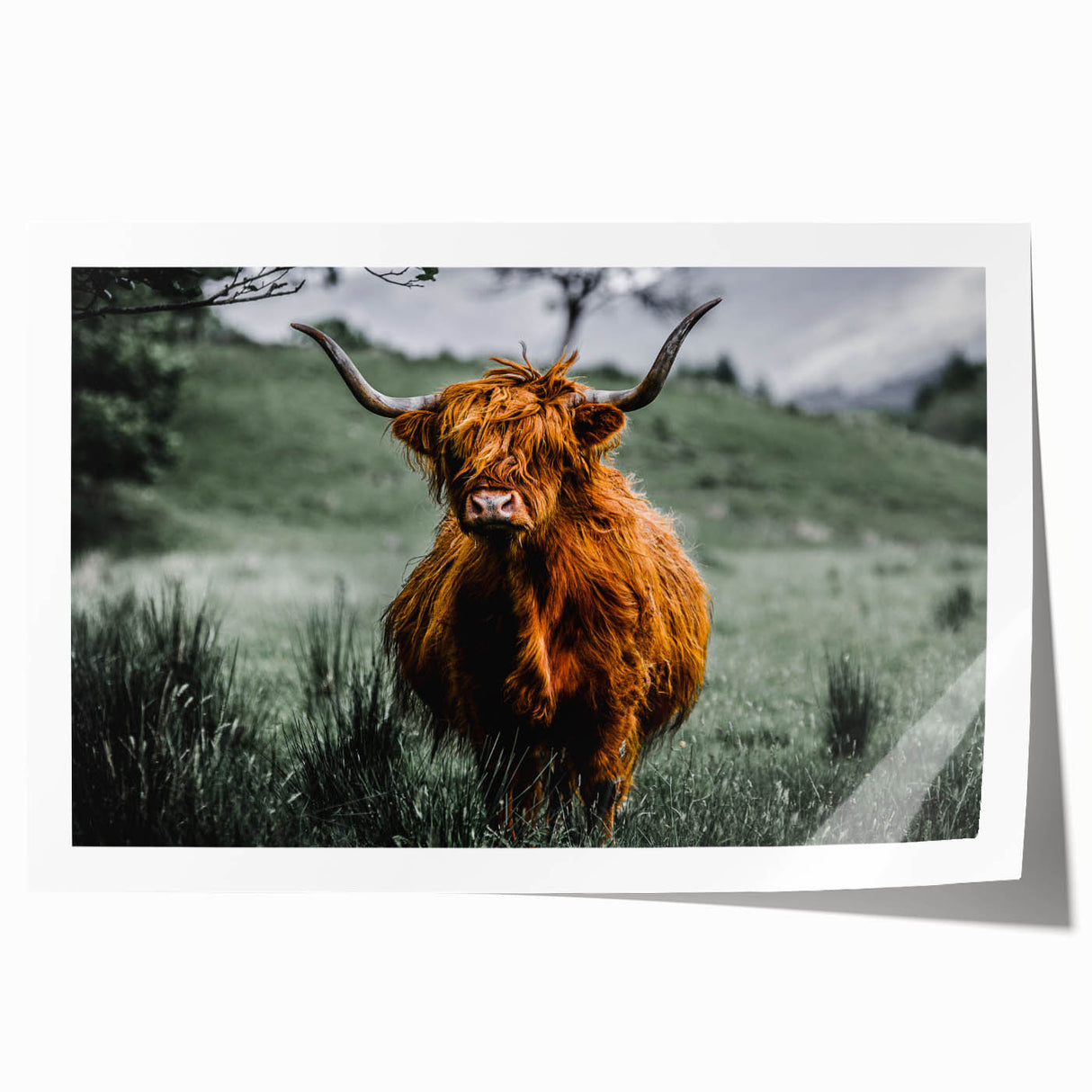 Extra large rolled print featuring a serene Scottish landscape with muted green and blue tones.