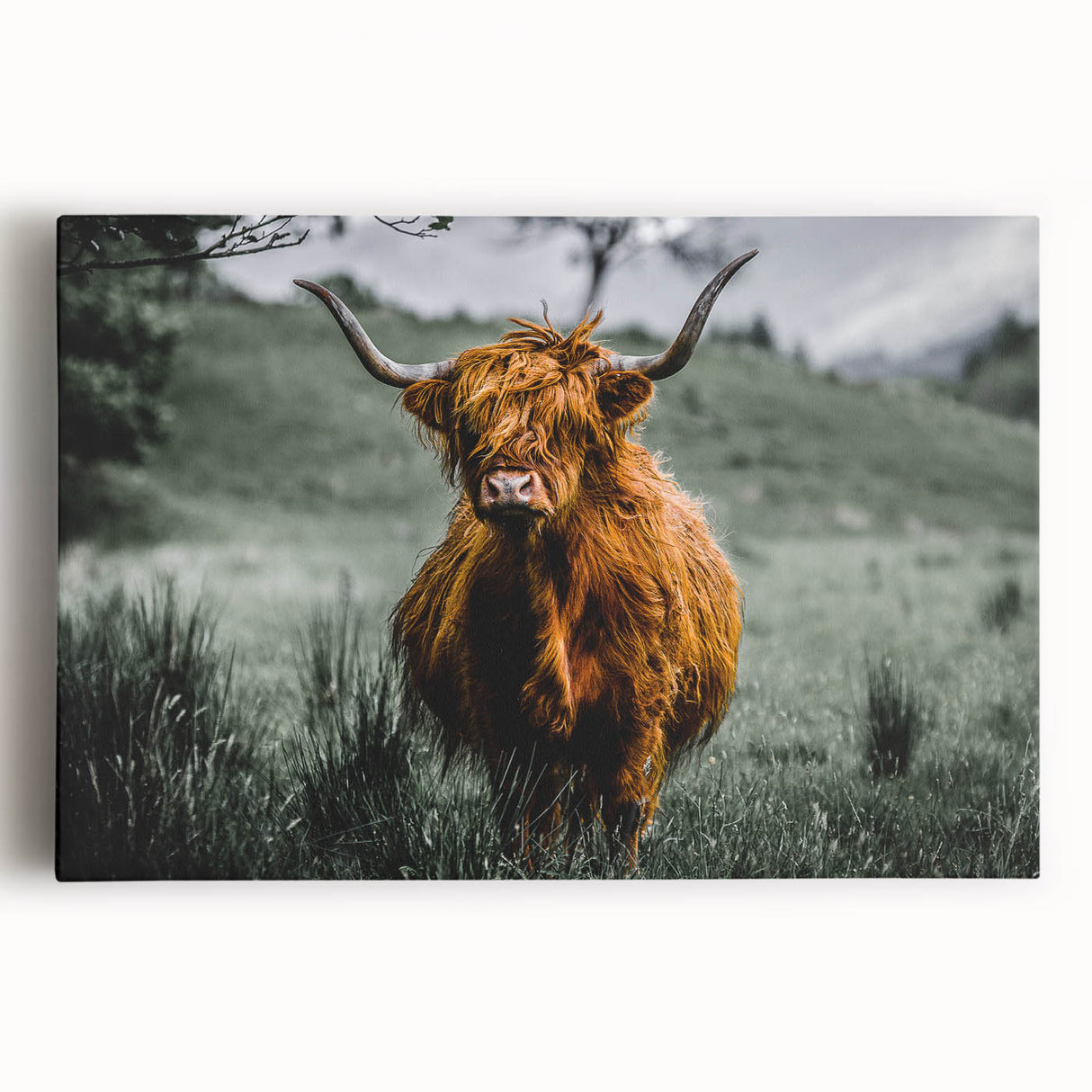 Black and white photograph of a Scottish landscape on stretched canvas, ideal for kitchen wall art or bedroom ambiance.