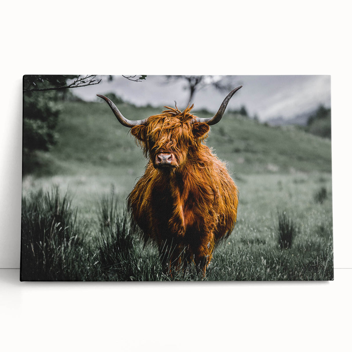 Black and white photograph of a Scottish landscape on large stretched canvas, ideal for kitchen wall art.
