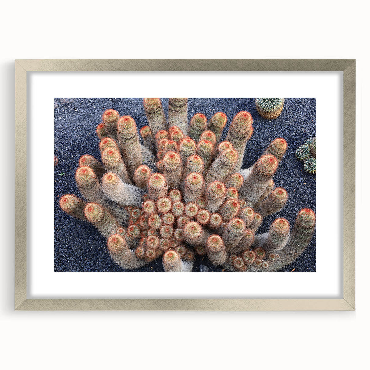 Extra large abstract art print of a textured European scenery in muted earth tones on a framed canvas.