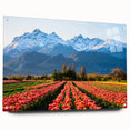 Large abstract wall art featuring a vibrant depiction of the South American scenery, on acrylic glass.