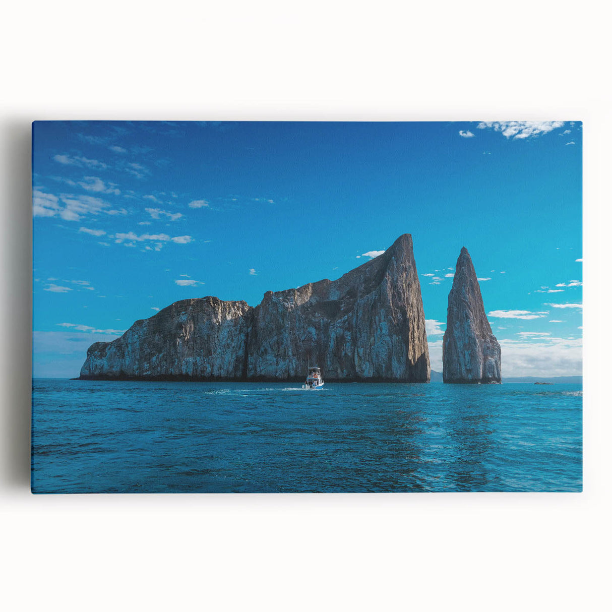 Black and white large art print of Galapagos scenery on stretched canvas, suitable for kitchen wall art.