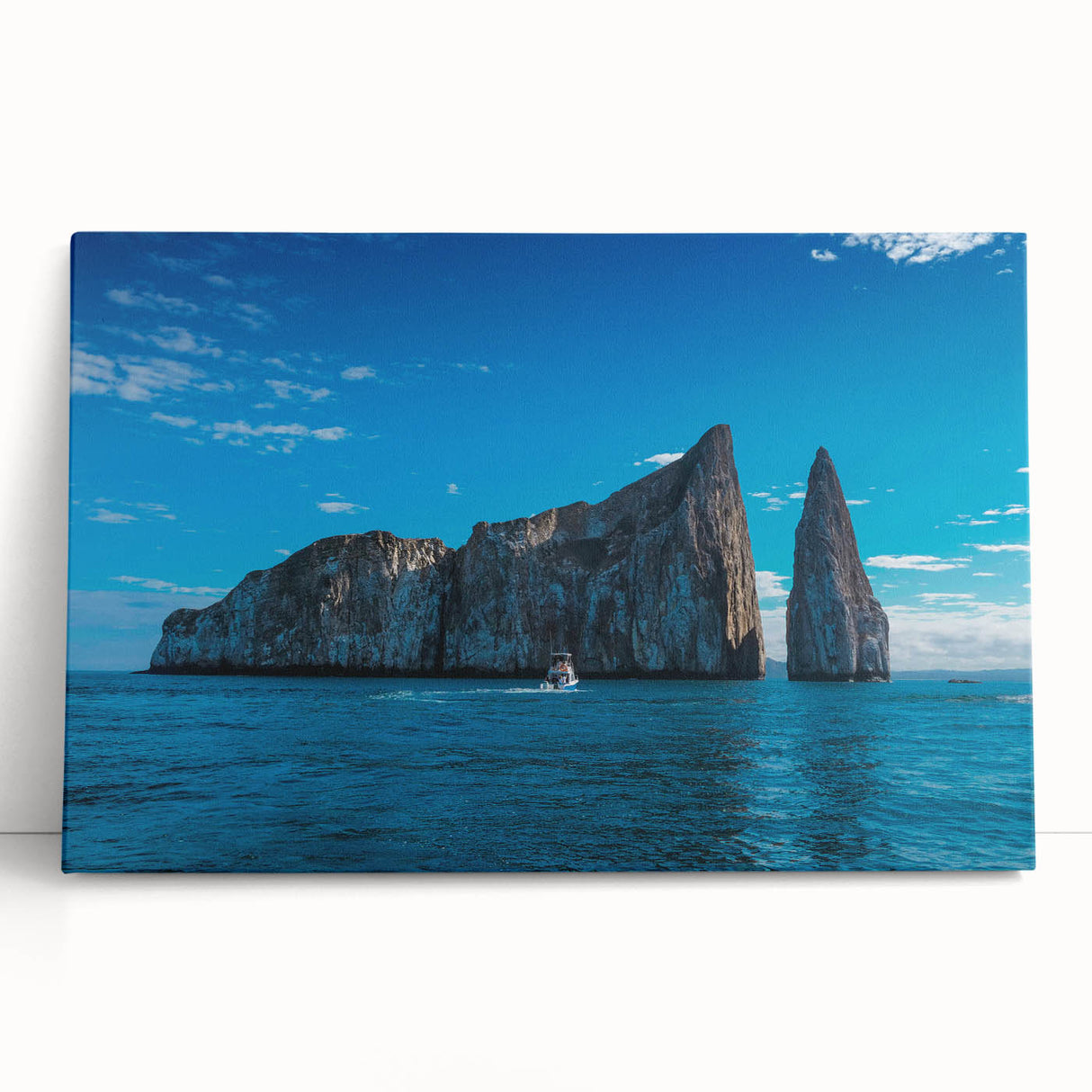 Black and white stretched canvas of Galapagos scenery, ideal for kitchen wall art or bedroom ambiance.