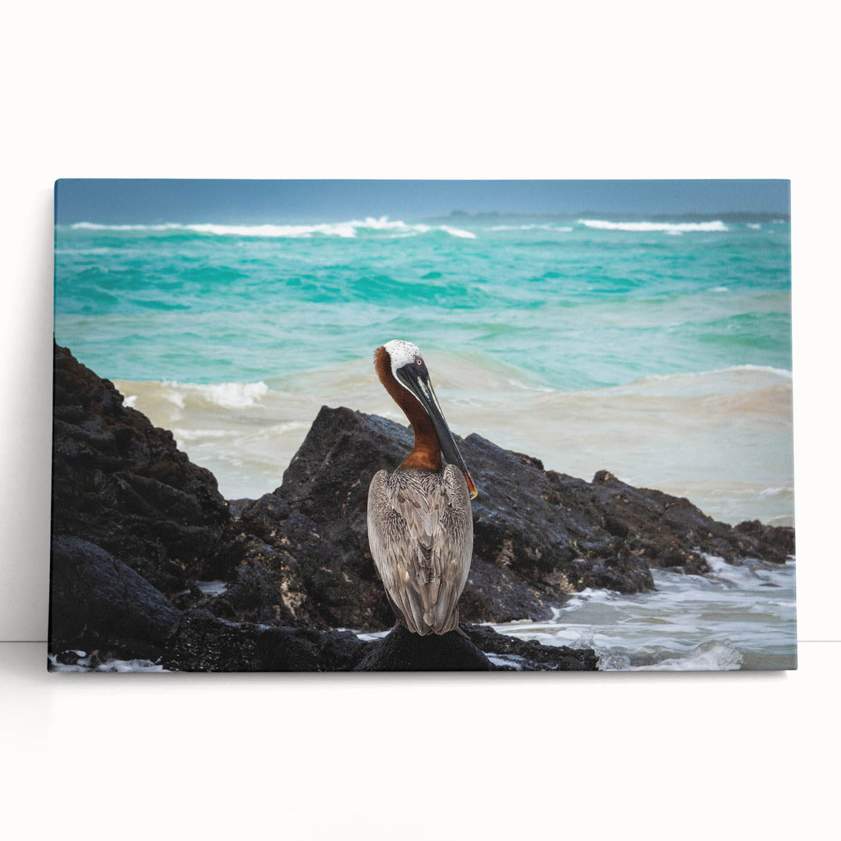Black and white stretched canvas featuring a panoramic view of a South American landscape, ideal for kitchen wall art.