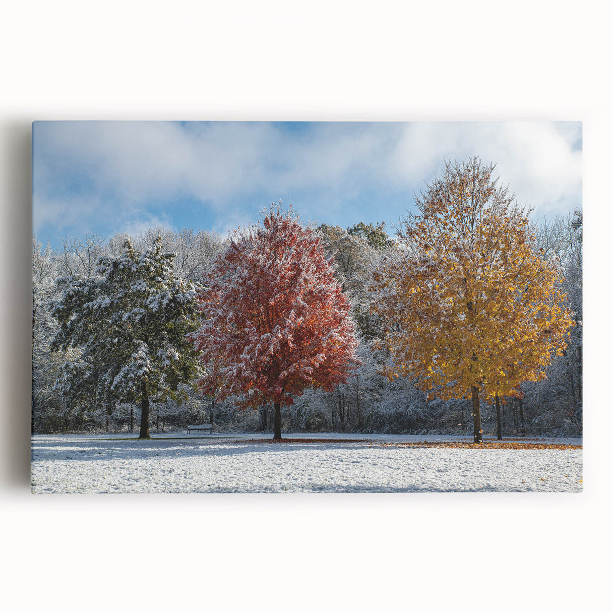 Black and white stretched canvas of Iowa scenery, ideal for kitchen wall art.