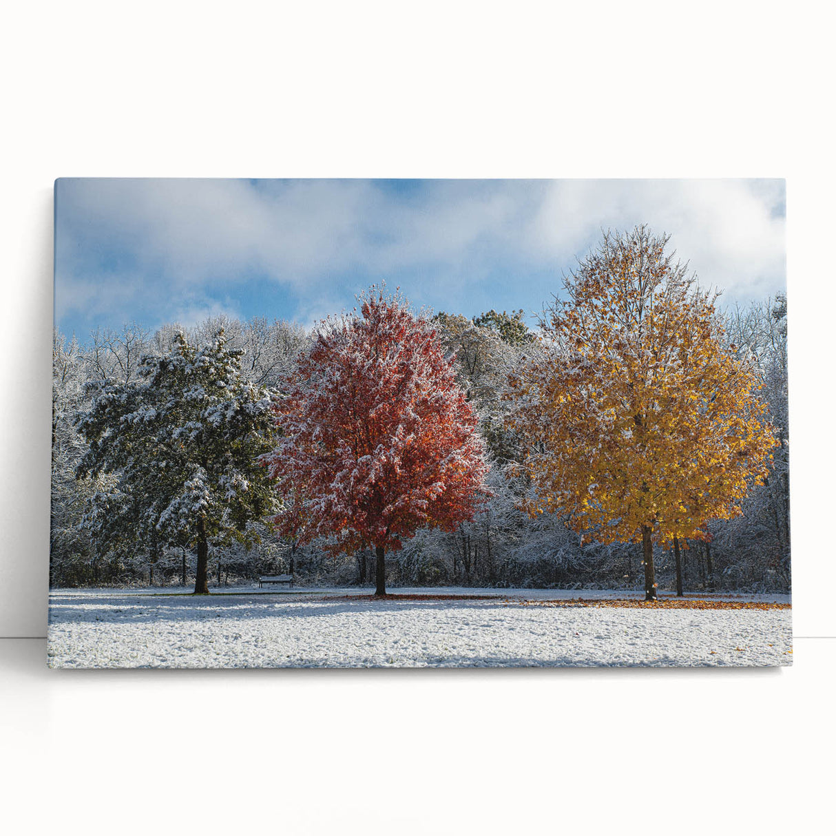 Iowa landscape with sprawling fields in black and white on stretched canvas, suitable as kitchen wall art.