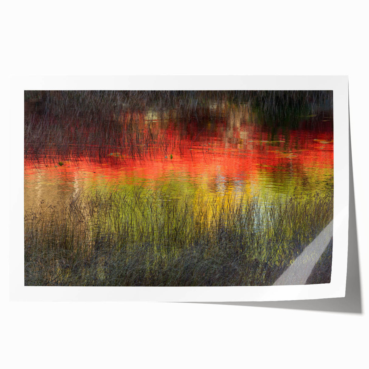 Acadia National Park scenery on rolled print, featuring muted earth tones, ideal for art wall dining room.