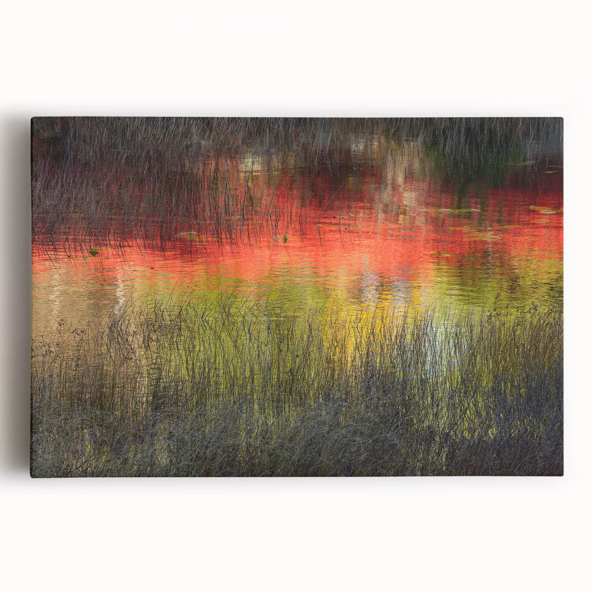 Black and white stretched canvas of Acadia National Park, ideal for kitchen wall art.