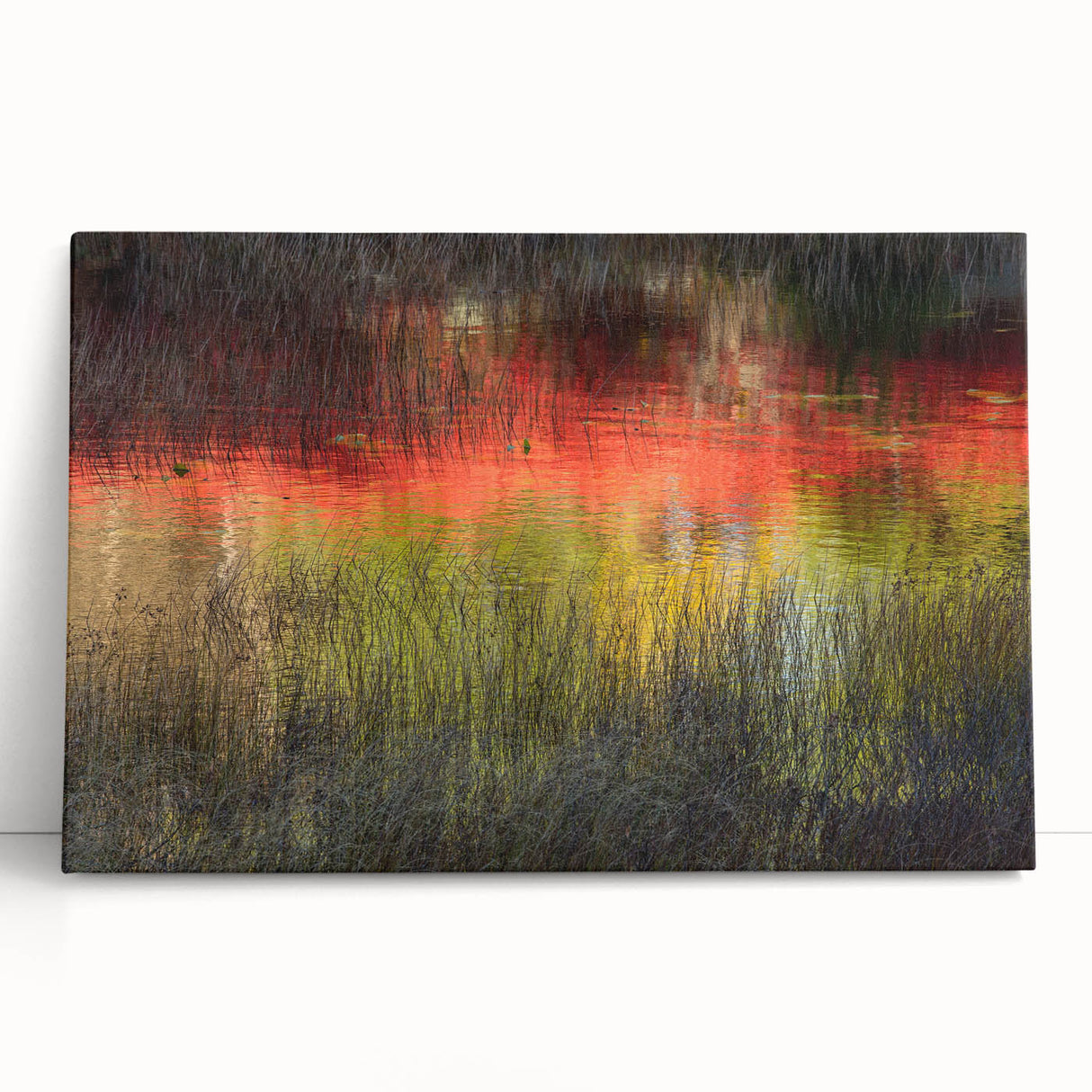 Black and white photo of Acadia National Park on stretched canvas, ideal for kitchen wall art.