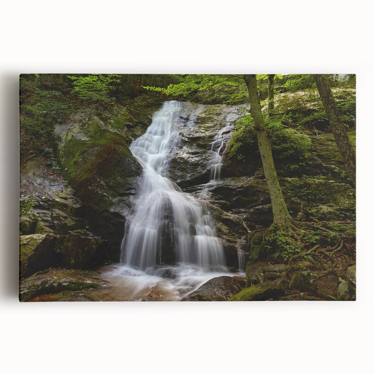 Black and white stretched canvas of a Virginia landscape, ideal for kitchen wall art.